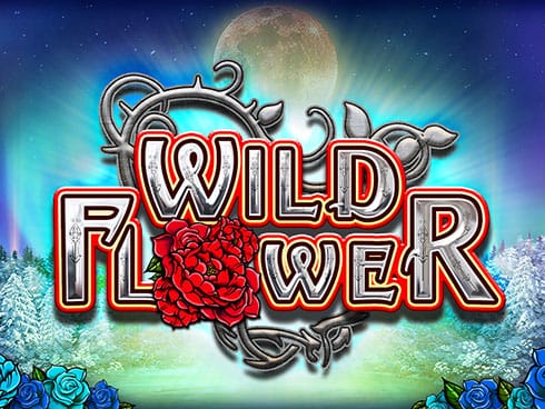 Wild Flower